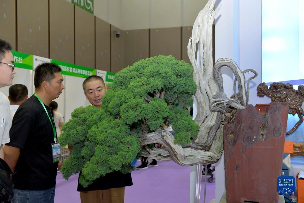 mg游戏入口